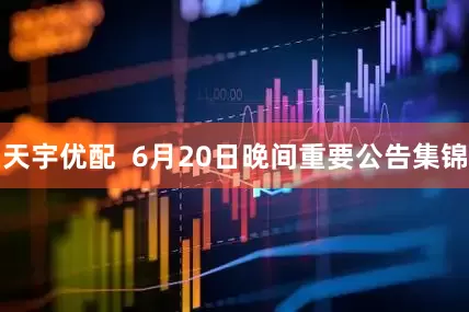 天宇优配  6月20日晚间重要公告集锦