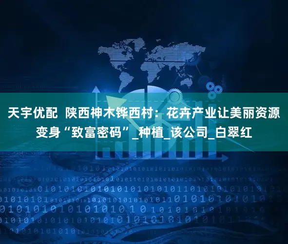天宇优配  陕西神木铧西村：花卉产业让美丽资源变身“致富密码”_种植_该公司_白翠红