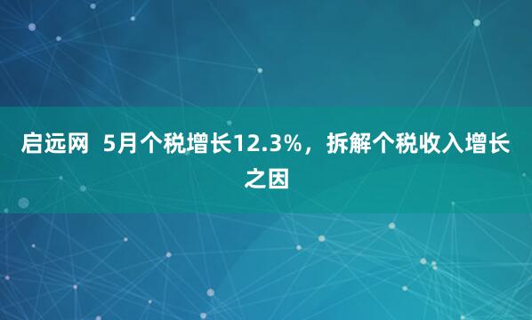 启远网  5月个税增长12.3%，拆解个税收入增长之因